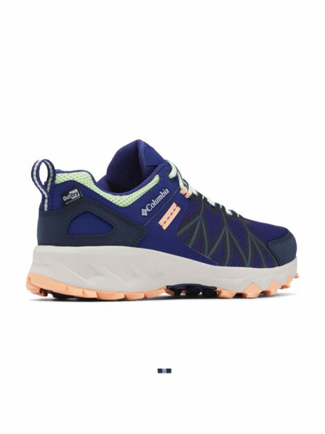 c4c9c41e-e39a-43aa-a71b-b3643488d5f01675677520818ColumbiaWomenTrekkingSportsShoes6
